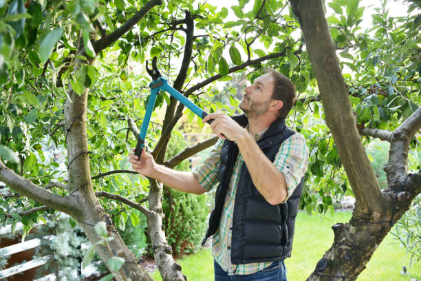 Best Lawn Watering Services  in Huntington Bay, NY